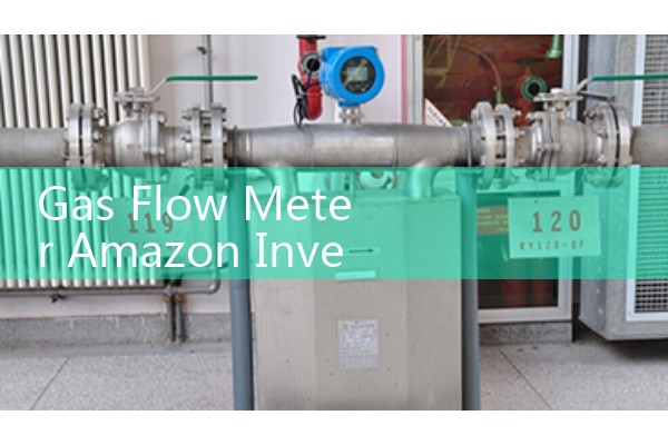 Gas Flow Meter Amazon Inventory: Evaluating Consumer-Grade Regulators vs Professional Industrial Sensors